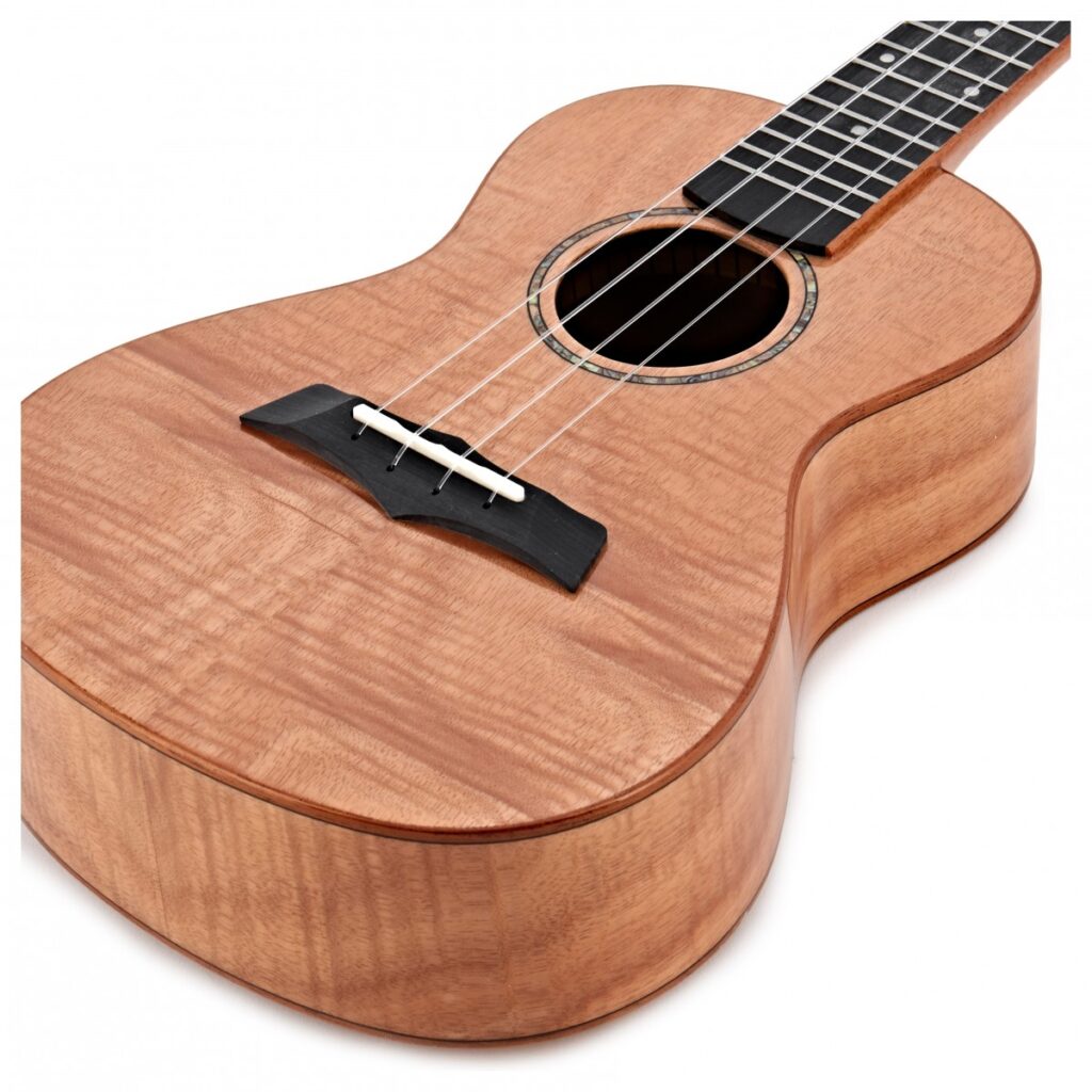 Snail SUC-M1 Concert Ukulele Gloss