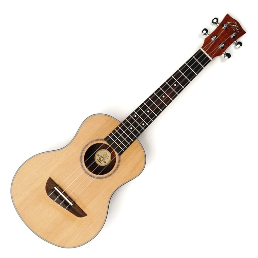 Eko Evo Ukulele Tenor Cedar Top