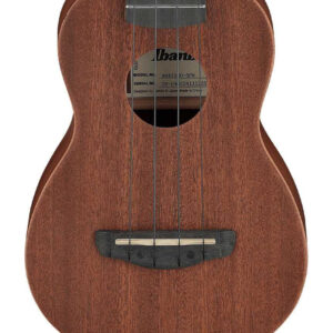 Ibanez UKC100-OPN Concert Ukulele with Gig Bag in Open Pore Natural - Image 1